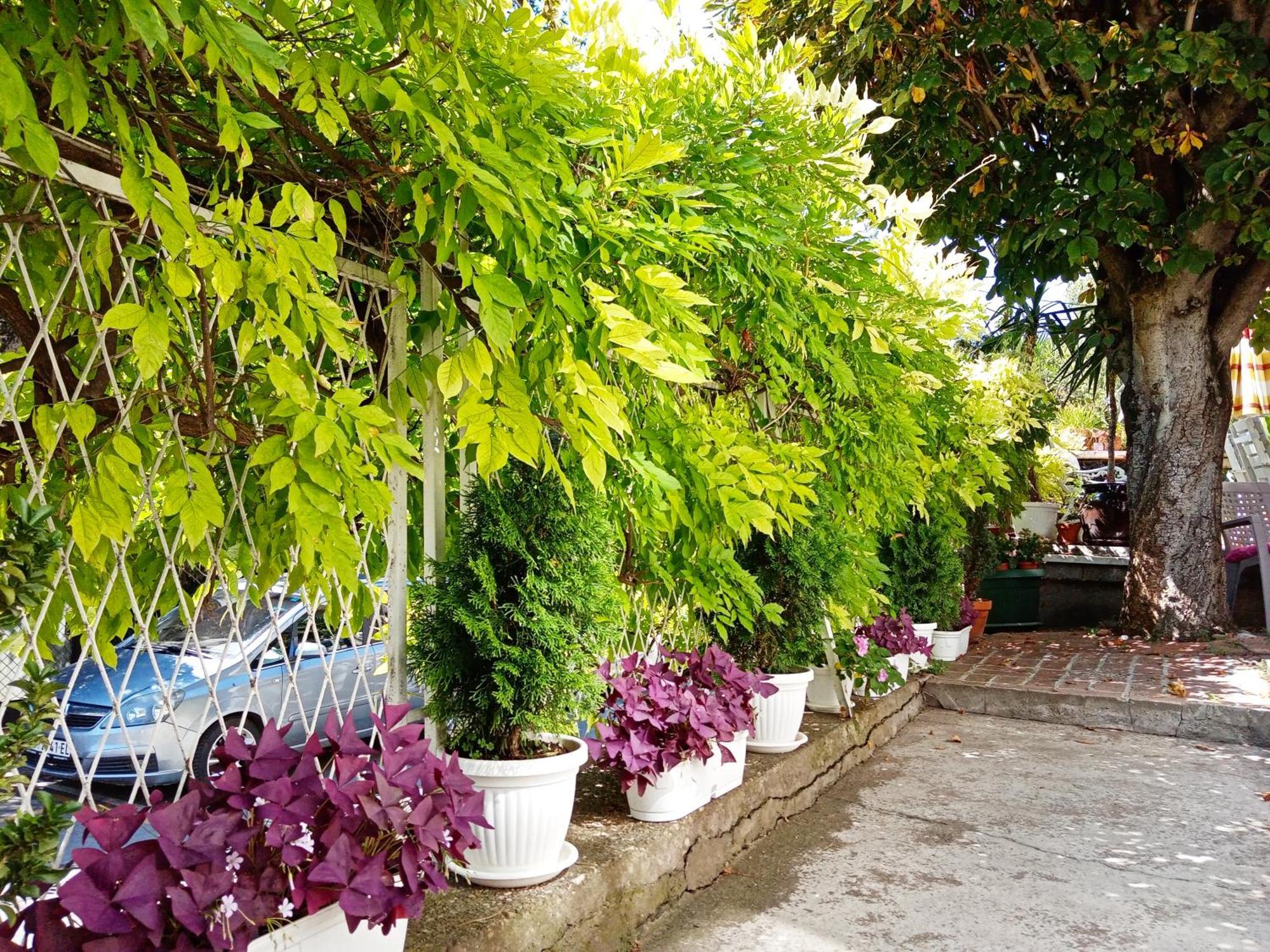 Belgrade Apartment Happy Garden Экстерьер фото