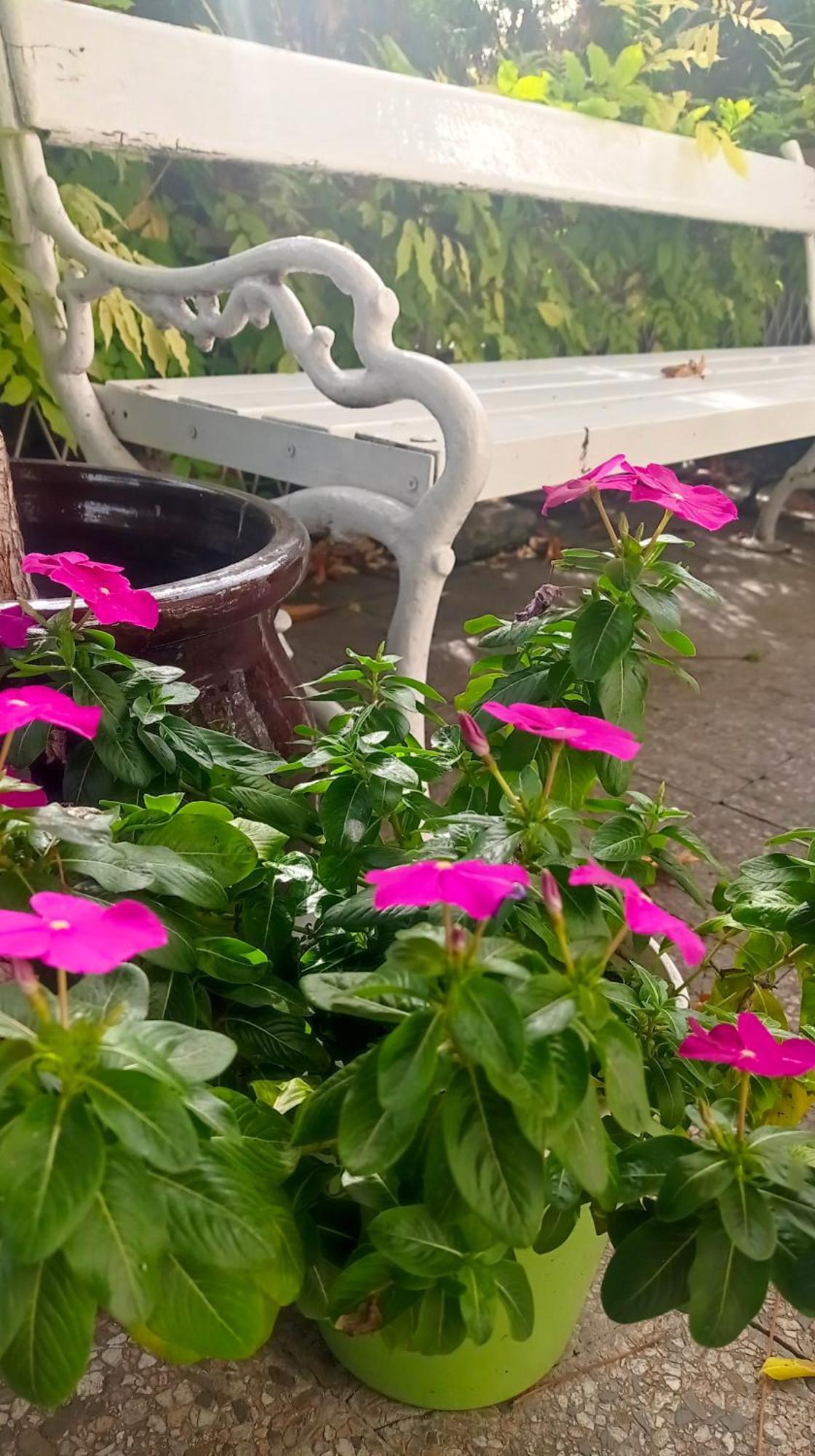 Belgrade Apartment Happy Garden Экстерьер фото