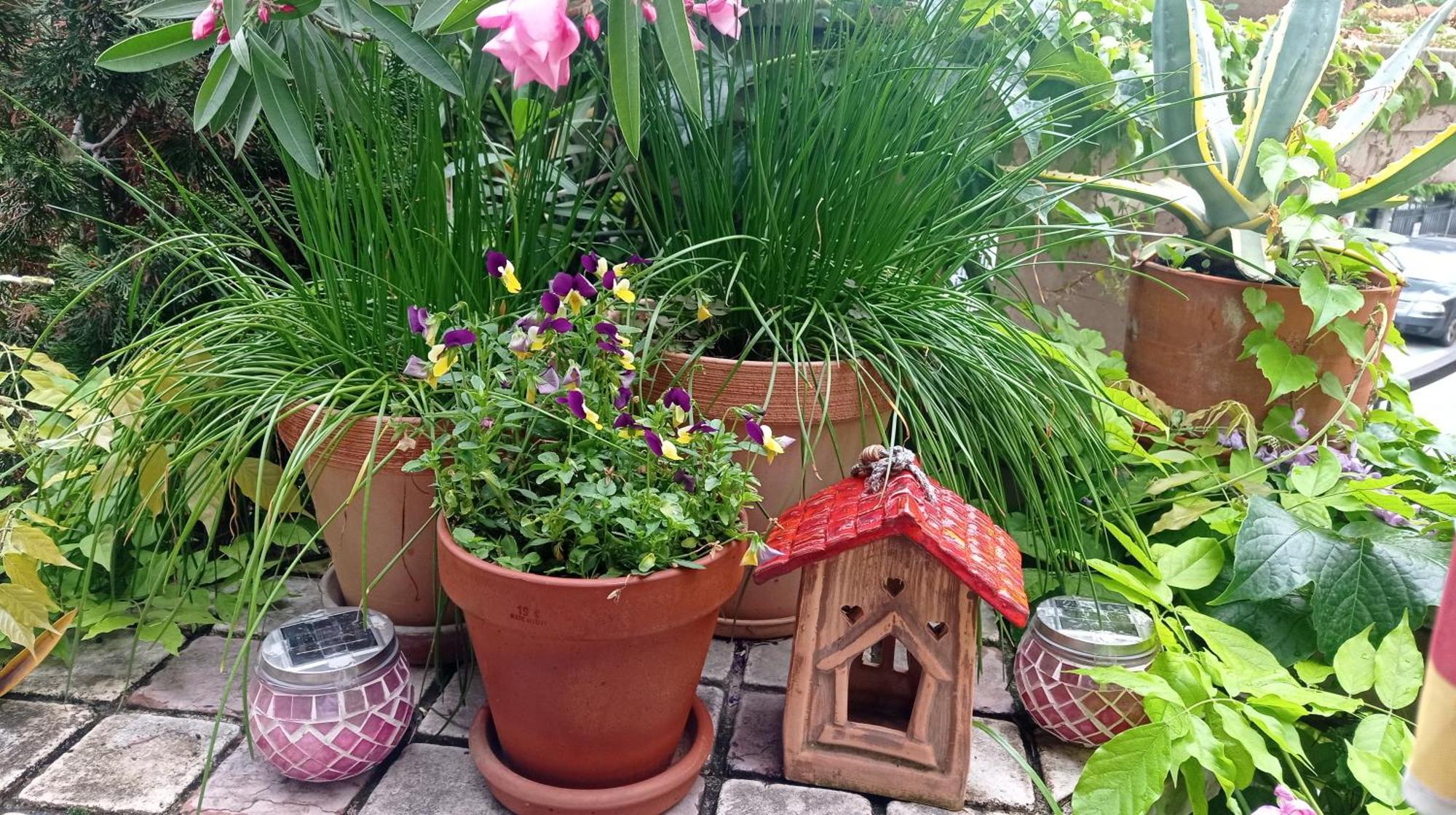Belgrade Apartment Happy Garden Экстерьер фото
