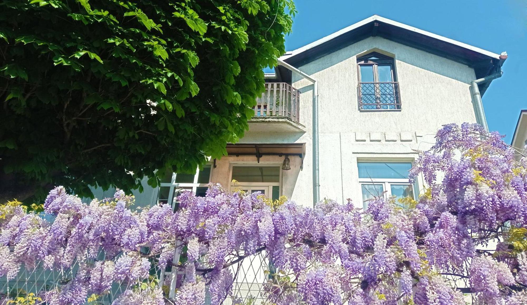 Belgrade Apartment Happy Garden Экстерьер фото