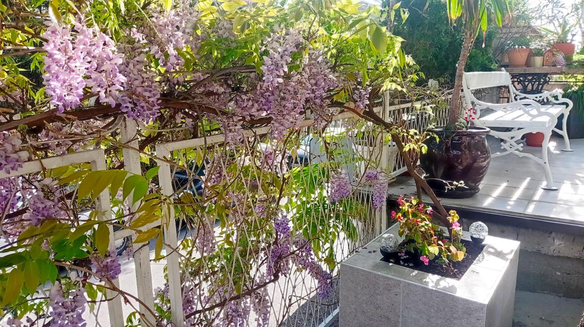 Belgrade Apartment Happy Garden Экстерьер фото