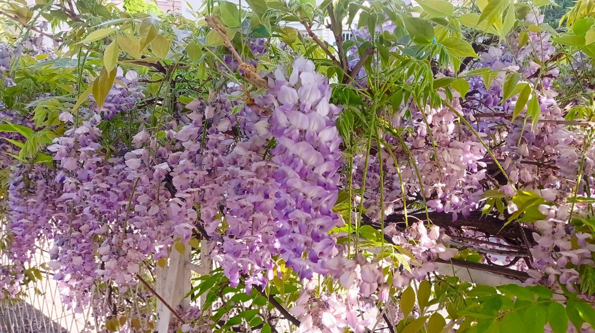 Belgrade Apartment Happy Garden Экстерьер фото