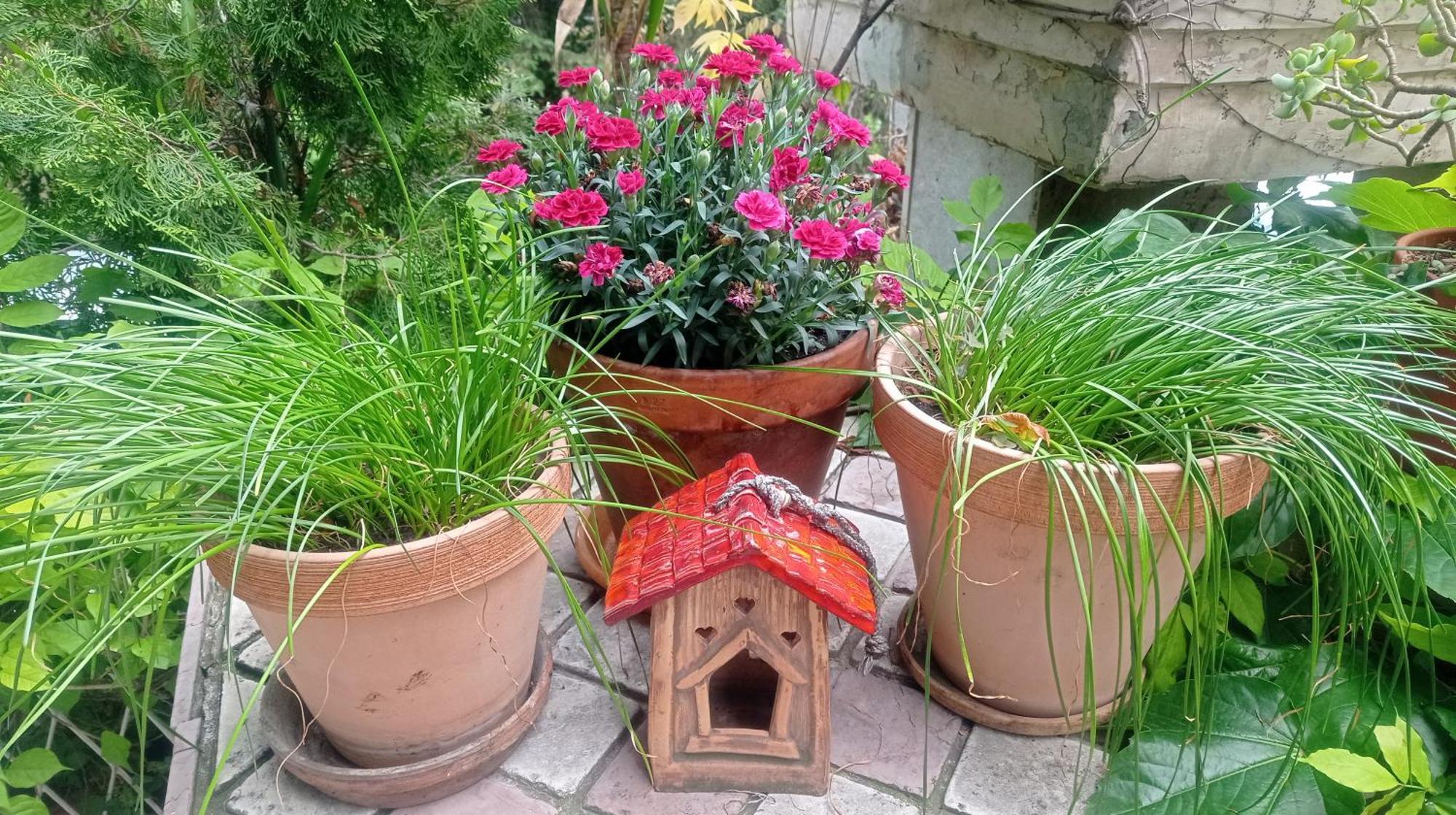 Belgrade Apartment Happy Garden Экстерьер фото